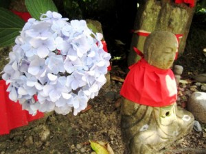 矢田寺の紫陽花とお地蔵