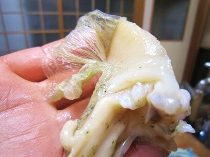 ナミ貝の薄皮