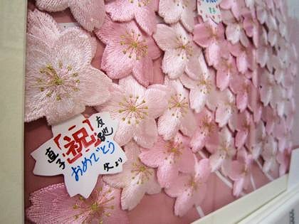 桜のメッセージ