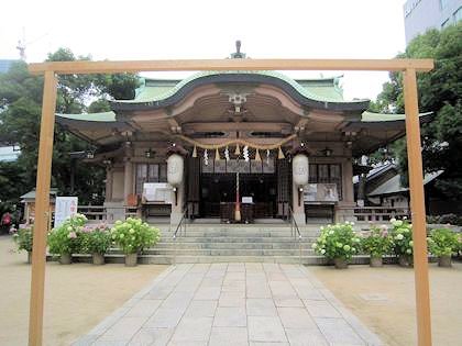 坐摩神社の茅の輪神事