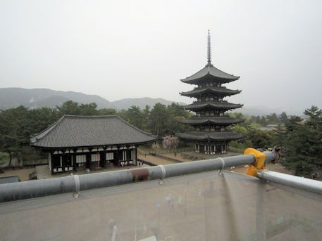 興福寺東金堂と五重塔
