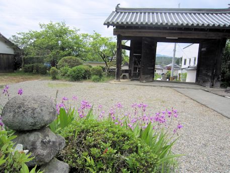 子嶋寺の花
