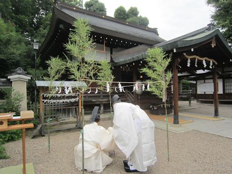 恵比須神社の茅の輪神事
