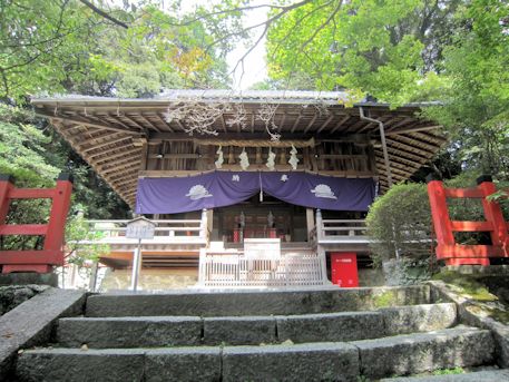 高鴨神社拝殿