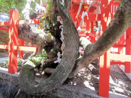 風宮神社の七種寄木