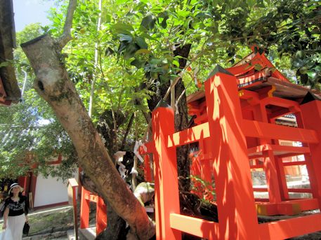 風宮神社の七種寄木