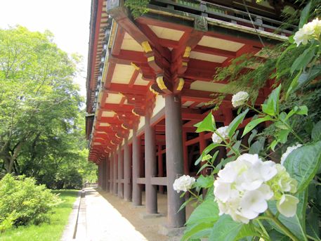 談山神社の紫陽花