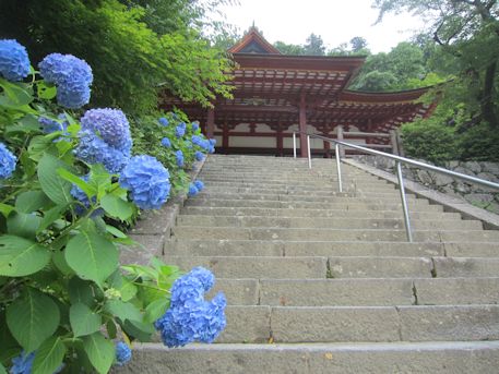 談山神社の紫陽花
