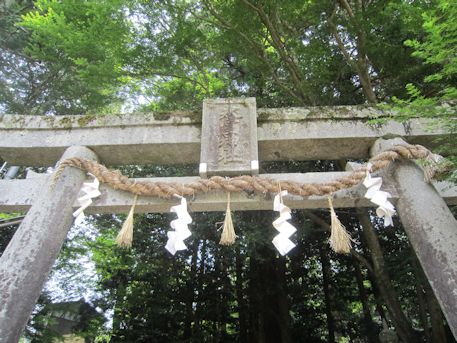 The torii gate of Himuro jinja Shrine